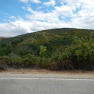 DSCN1755