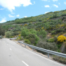 DSCN1756