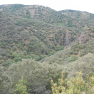 DSCN1759