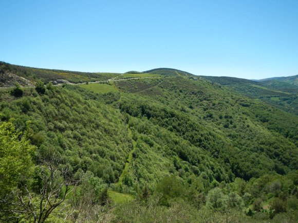 DSCN1790