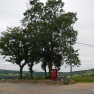 Distributeur de boisson perdu dans les champs