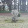 DSCN1828