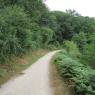 01-08-2010 (Morannes - Châtillon-en-Vendelais), 2ème jour