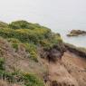 03-08-2010 (Cancale - Cap Fréhel), 4ème jour
