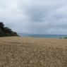 04-08-2010 (Cap Fréhel - Binic), 5ème jour