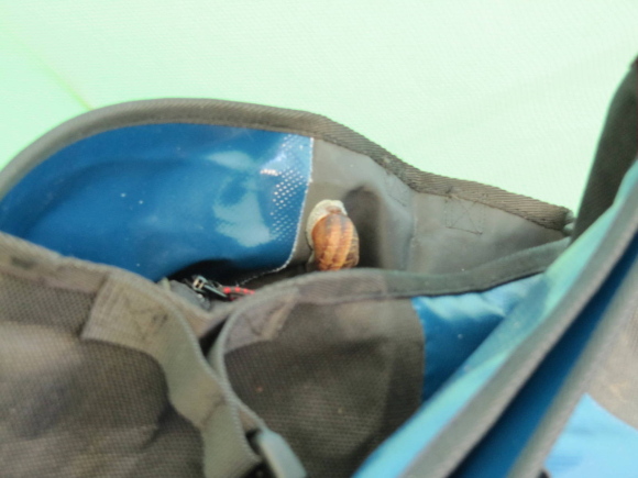 Chacun s'abrite où il peut