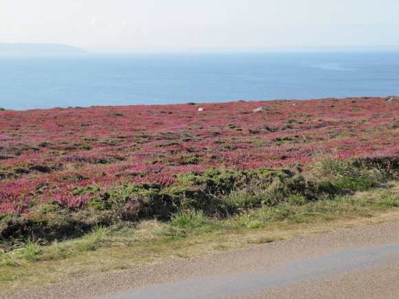 Pointe de Pen-Hir