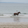 13-08-2010 (Telgruc-sur-Mer - Primelin), 14ème jour