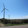 13-08-2010 (Telgruc-sur-Mer - Primelin), 14ème jour
