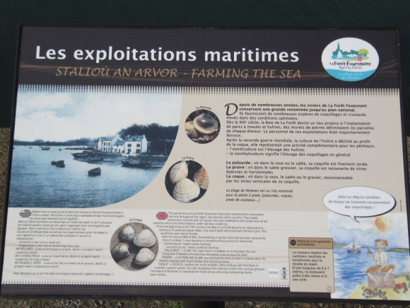 Les exploitations maritimes de La-Forêt-Fouesnant