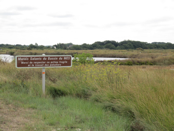 Marais salants du bassin du Mes