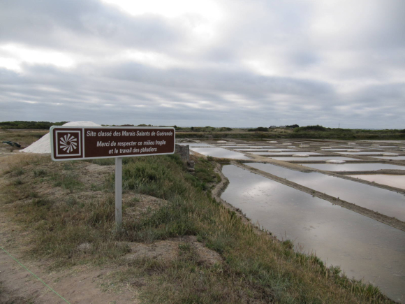 Marais salants de Guérande, vers Le Croisic