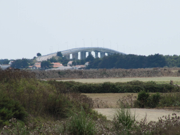 Pont de Noirmoutier