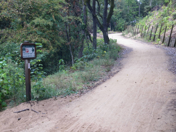 Vers Saint-Jean-de-Monts