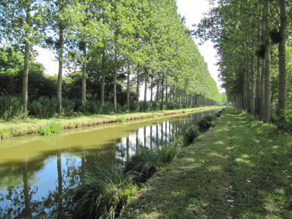 Canal de Berry