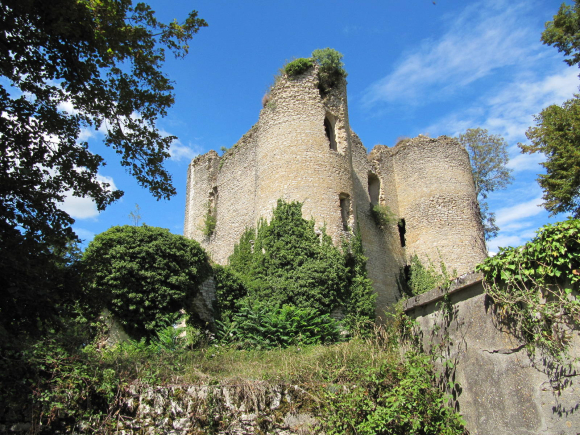 Donjon de Jouy