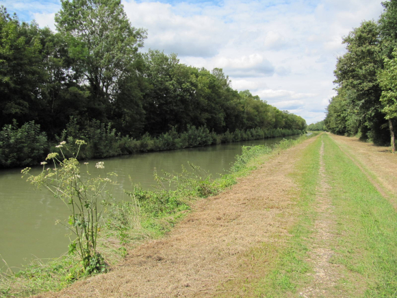 Canal latéral à la Loire