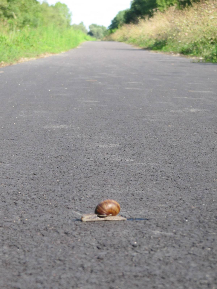 J'en évite tellement