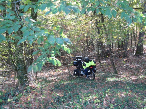 Déjeuner dans les sous-bois