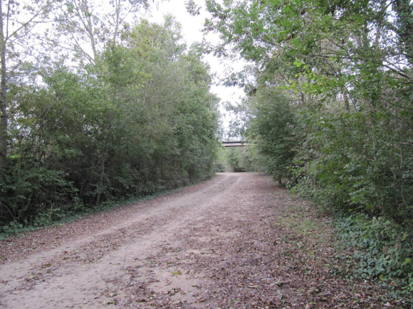 « Chemin des Droits de l'Homme », voie verte