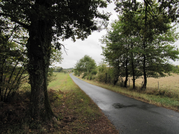 Forêt du Landais, après Bergerac