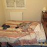 Tours - Castres - Dompierre-sur-Mer