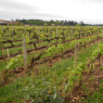 03-05-2015 (Bordeaux - Marmande), 3ème jour