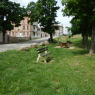 Canal de Garonne