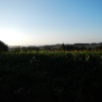 DSCN3812