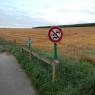08-08-2015 (Carhaix - Botcol - Pontivy), 4ème jour