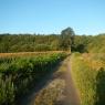 09-08-2015 (Pontivy - Étel), 5ème jour