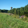 09-08-2015 (Pontivy - Étel), 5ème jour