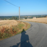 DSCN4590