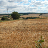 14-08-2018 (Morée - Nogent-le-Rotrou), 2ème jour