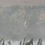DSCN4770
