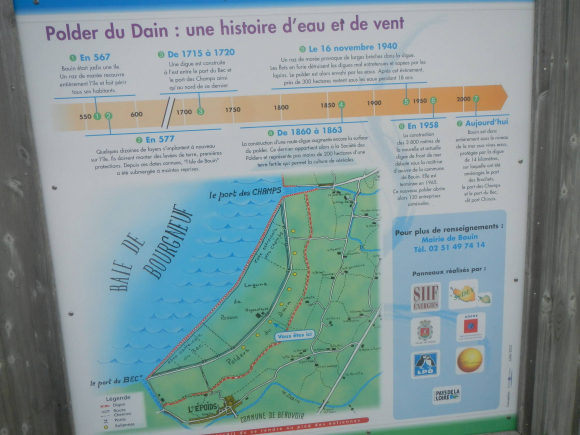 DSCN4811