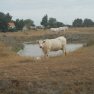 DSCN4812