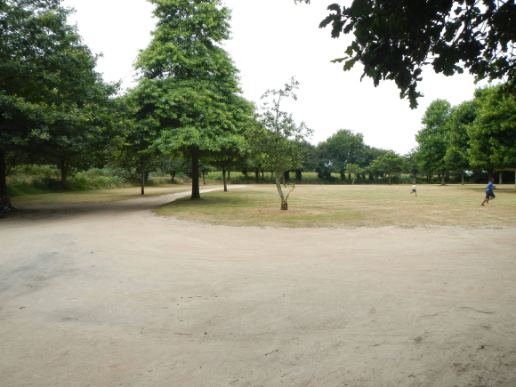 DSCN4157
