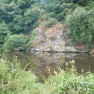 DSCN4237