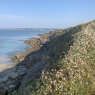 22-07-2021 (L'île percée - Château de Bélon), 4ème jour