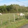 02-11-2011 (Parthenay - Tours), 5ème jour
