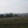 31-10-2011 (Les Landes-Genusson - Dompierre-sur-Mer), 3ème jour