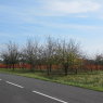31-10-2011 (Les Landes-Genusson - Dompierre-sur-Mer), 3ème jour