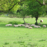 19-04-2011 (Tours - Secondigny), 1er jour