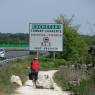 20-04-2011 (Secondigny - Dompierre-sur-Mer - Marennes-Plage), 2ème jour