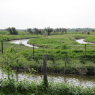 21-04-2011 (Marennes-Plage - île d'Oléron), 3ème jour