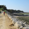 21-04-2011 (Marennes-Plage - île d'Oléron), 3ème jour