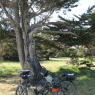 22-04-2011 (île d'Oléron), 4ème jour