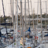 22-04-2011 (île d'Oléron), 4ème jour