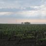 25-04-2011 (Vouillé - Tours), 7ème jour